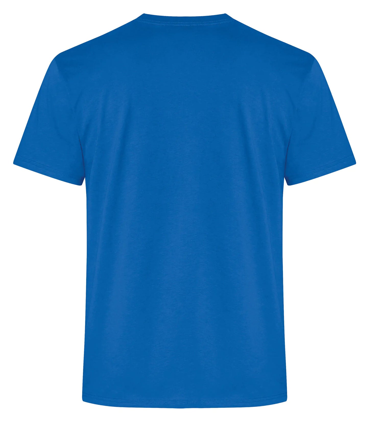 ATC™ EVERYDAY RING SPUN COTTON TEE. ATC2000
